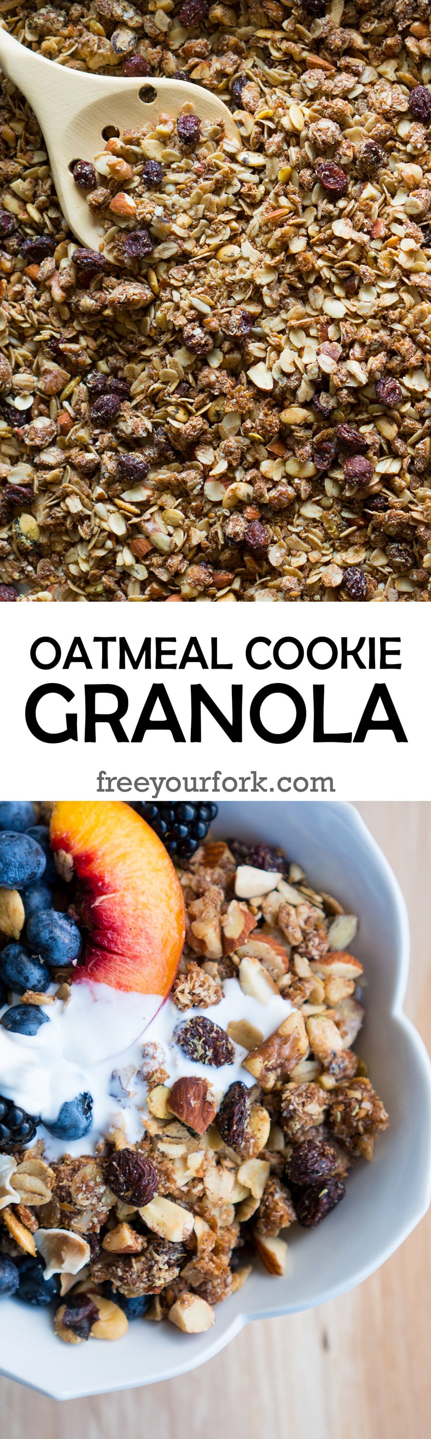 Oatmeal Cookie Granola - You won't believe how easy it is to make your own gluten-free Oatmeal Cookie Granola at home! This recipe has toasted oats, almonds, walnuts, flaxseeds, coconut, cinnamon, vanilla, quinoa flakes, & more ♥| freeyourfork.com