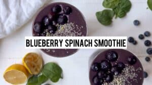 Free-Your-Fork-Blueberry-Spinach-Smoothie-Video-poster